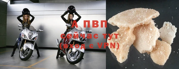 jwh Белокуриха