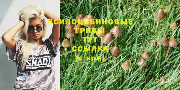 мяу мяу мука Белоозёрский