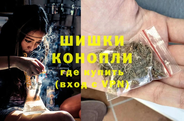 индика Верхний Тагил