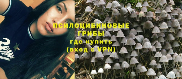 мяу мяу мука Белоозёрский
