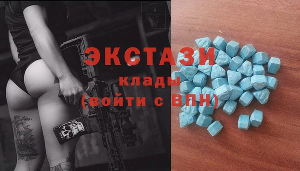 гидра Вязьма