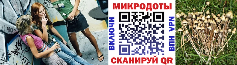Псилоцибиновые грибы прущие грибы  закладка  Корсаков 